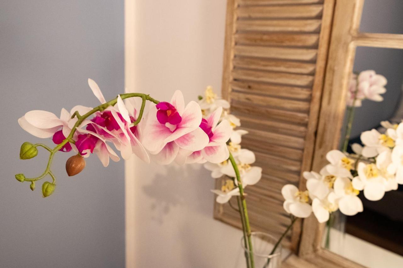 Casa Ballaro 팔레르모 외부 사진